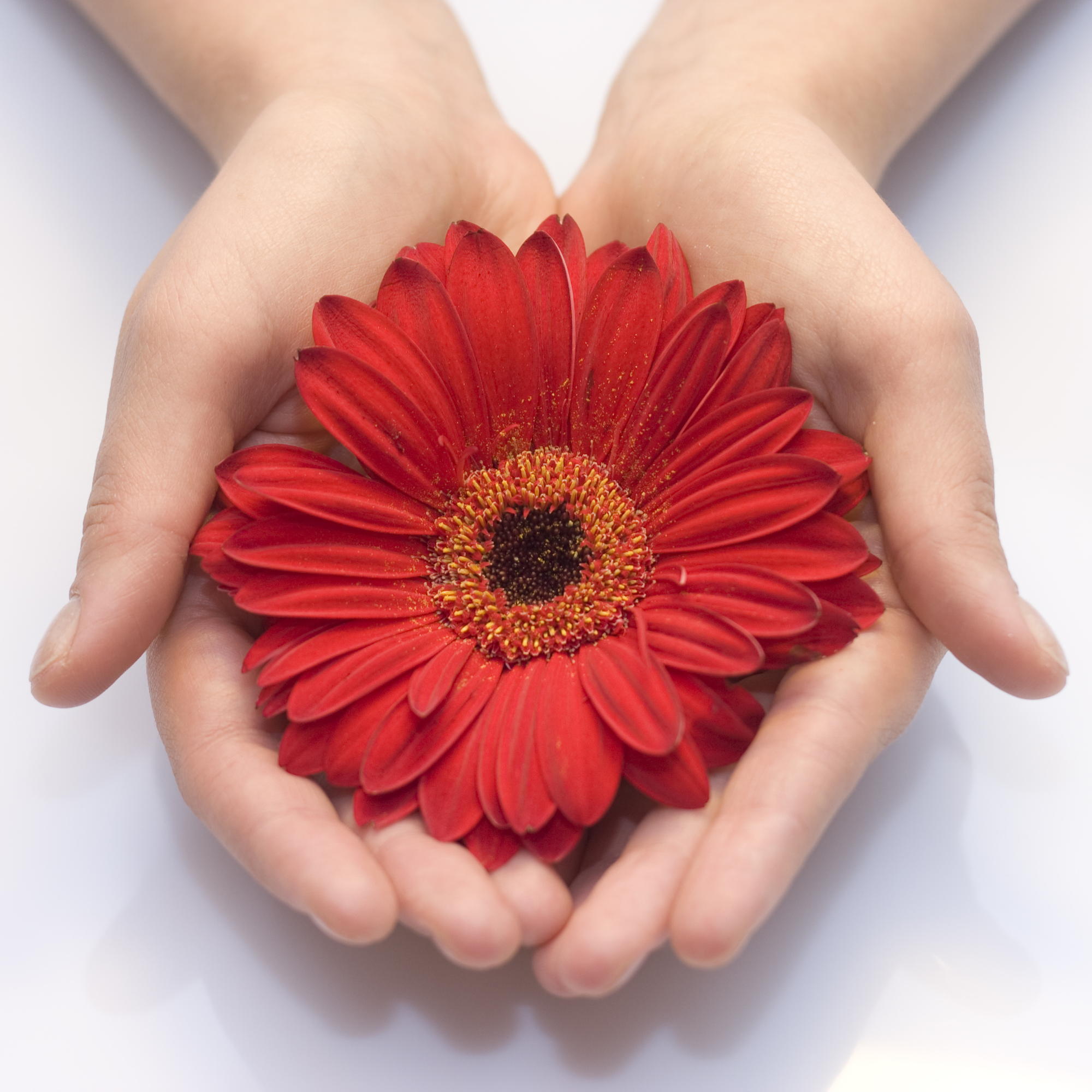 red flower